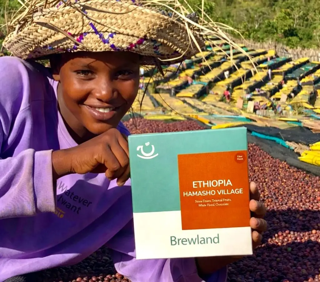 roast date coffee ethiopia