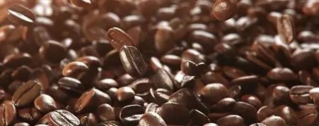 Best Coffee Beans in Lahore: A Buyer’s Guide for Coffee Lovers